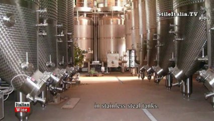 Italian Wine - Romano dal Forno -  Amarone