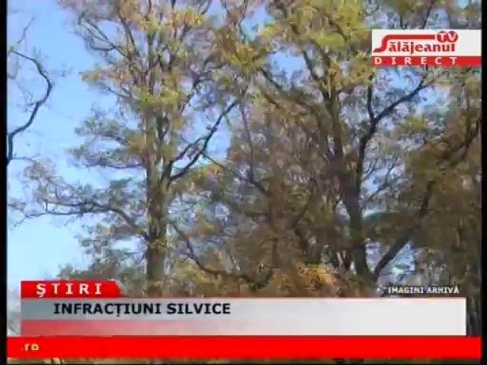 STIRILE SALAJANUL TV 19.12.2013
