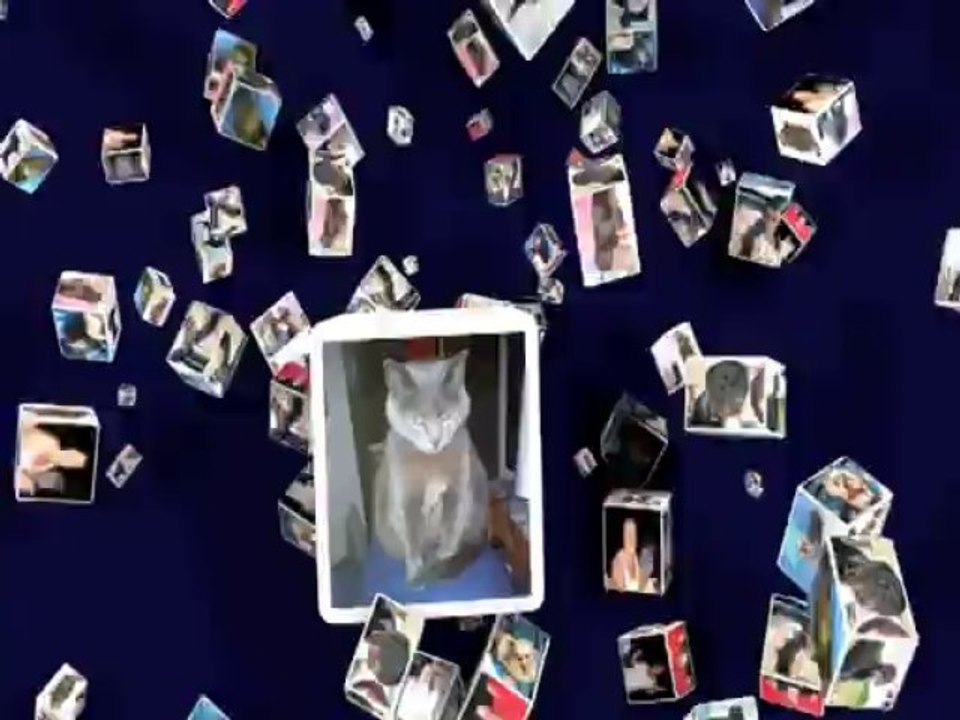 Tolie Talie's strange pets / Les animaux étranges de Tolie Talie