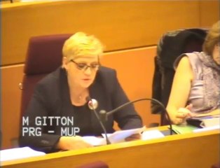 Budget 2014 - Transports - Intervention de Mireille GITTON