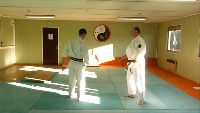 nihon tai jitsu: exemple de défenses contre poing