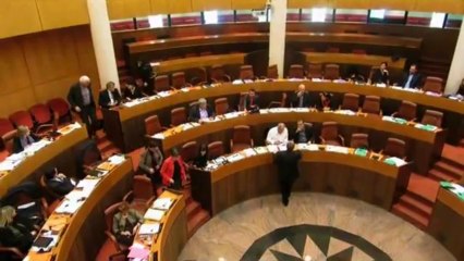 Budget de la CTC : Un débat perturbé par le conflit social de l'Office de l'environnement