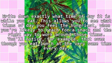 Keeping Track Of What Exactly You Eat: How To Do It Correctly