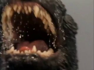 Godzilla Vs. Mothra Audio Mix