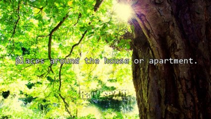 A Short Overview Of The Stem Alive Dietary Supplement