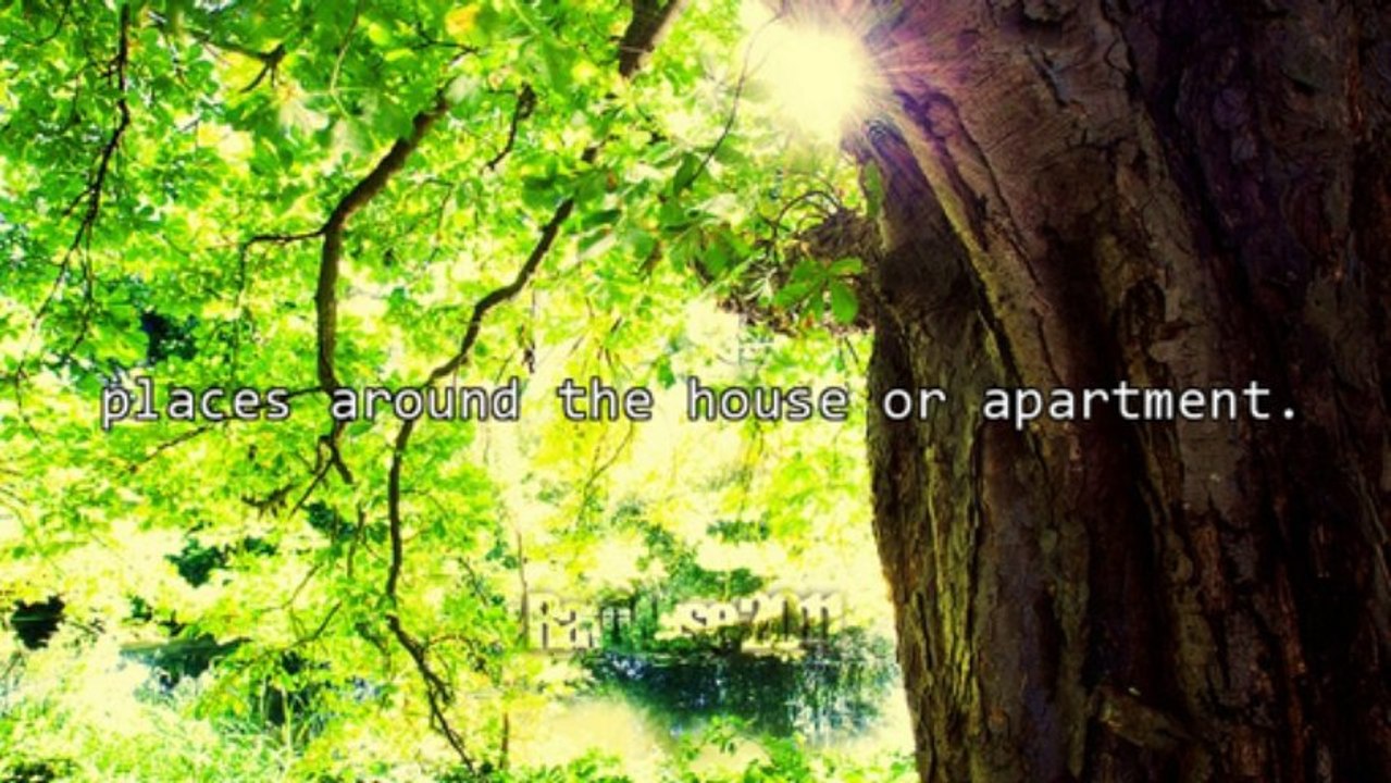 A Short Overview Of The Stem Alive Dietary Supplement