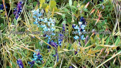 Ohio Garden Centers Are A One Stop Shop For All Your Gardening Needs