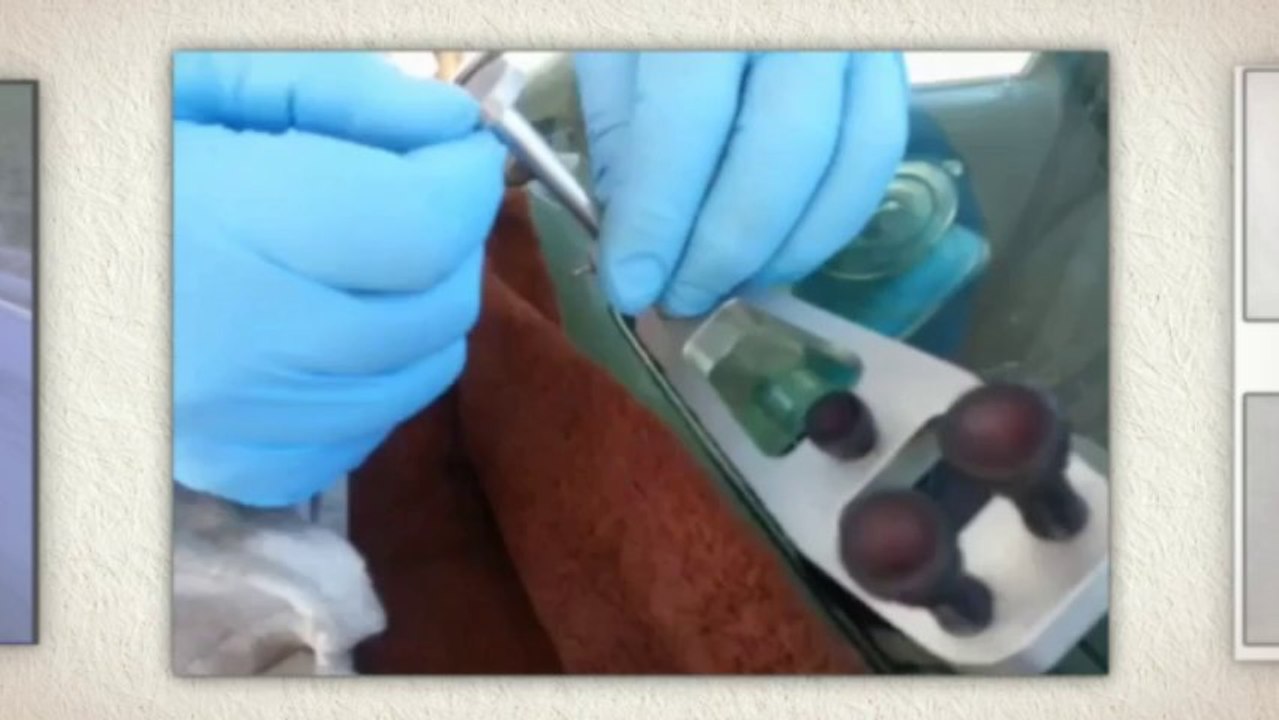 chipped windshield repair & repair windshield chip Demver