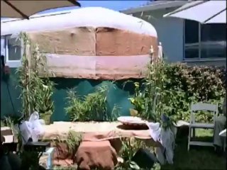 Brandon and Dung's US Wedding (2nd half)