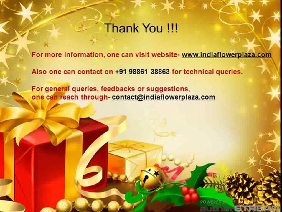 Order Christmas tree, Flowers, Cakes and Gifts Online