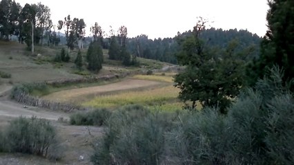 Shawaal North Waziristan....my house area.......with Rizwan Wazir