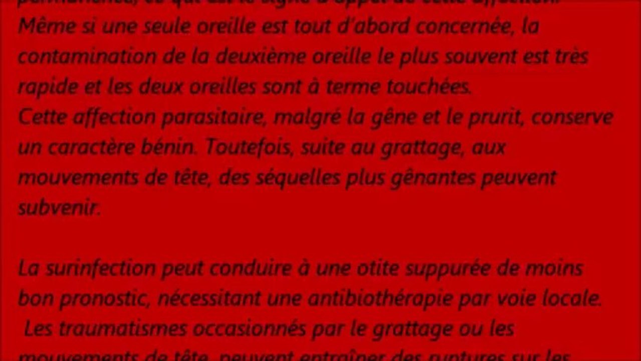 La gale des oreilles