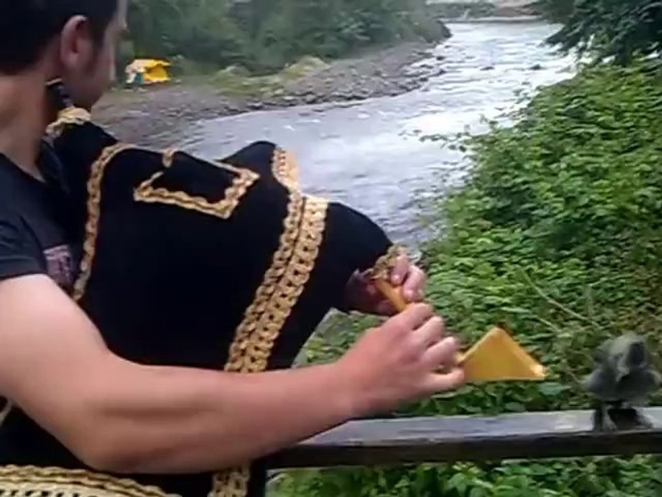 Tulum dinleyen  -  Efkarlı kuş _)))