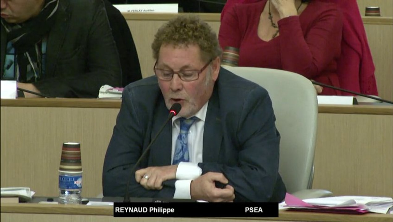Budget 2014- Equilibre général : Philippe REYNAUD pour notre groupe