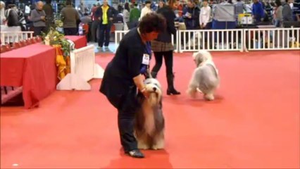 Leroy (Heroes Of Sheytane) expo martigues