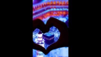 Dawud Wharnsby Ali ♥The Hijab/Veil♥ ♥ZY♥