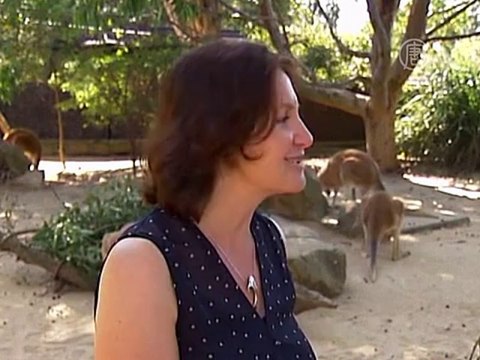 Обитатели зоопарка получили подарки на Рождество