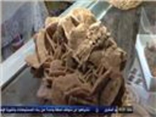 زهرة الجبل نبتة بليبيا لا تفنى وتقاوم التصحر