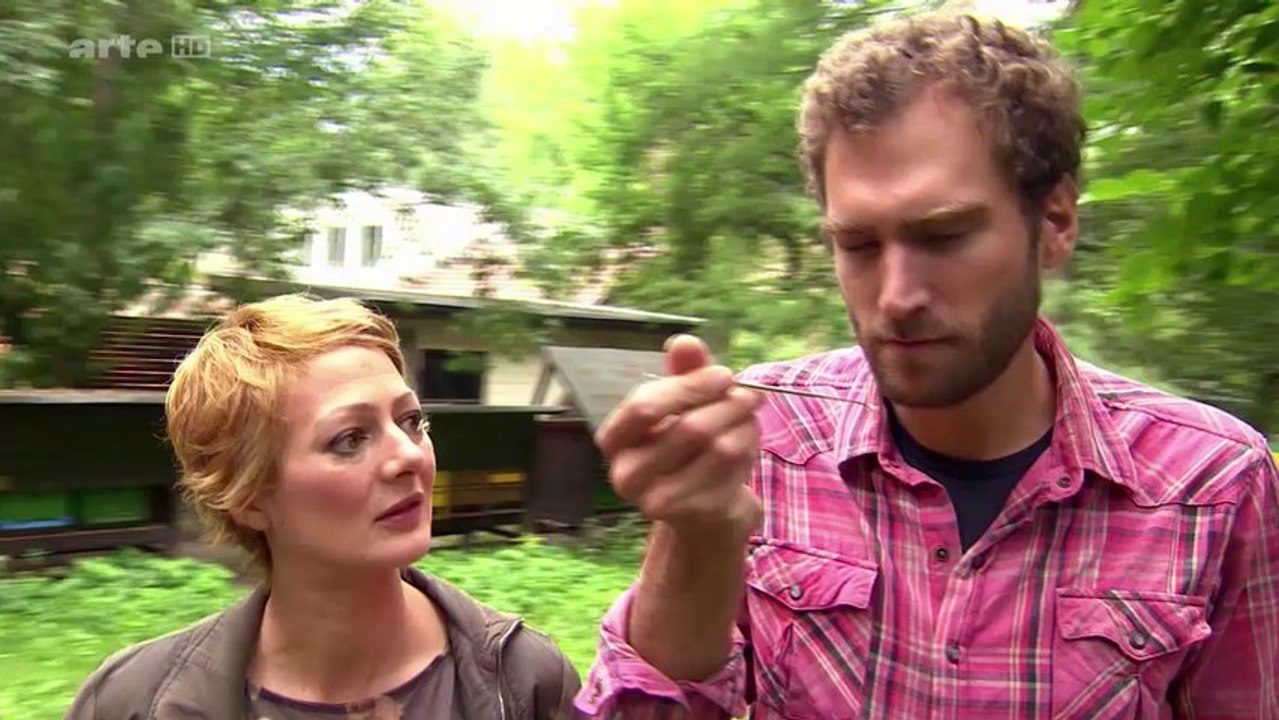 Was bringt die Bienentherapie ?