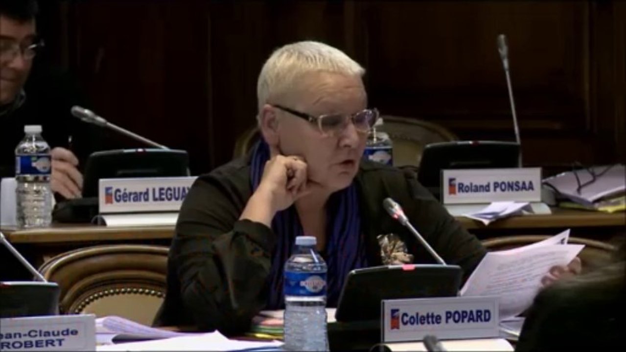 Colette POPARD. Explication de vote. Subventions aux partenaires des politiques sociales. Session de decembre 2013.