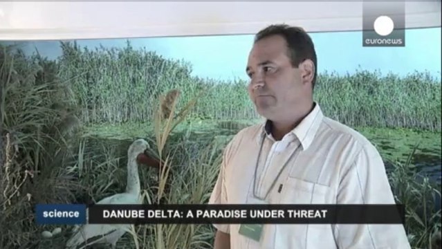 Amenazas sobre un paraíso de aves y esturiones