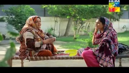 Mohabbat Subh Ka Sitara Hai by Hum Tv Episode 2 - Part 1/3