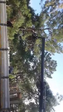 Antalya demireller hurda 0533 368 08 98 antalya hurda