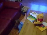 en komik video bebek gülüyor köpek onunla ısırmaca oynuyor