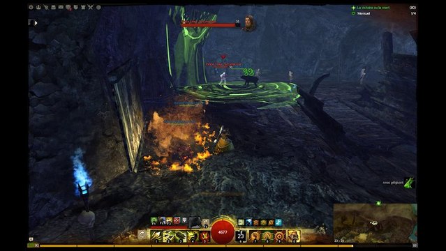 GW2 - Puzzle Jump - La crique du Bretteur