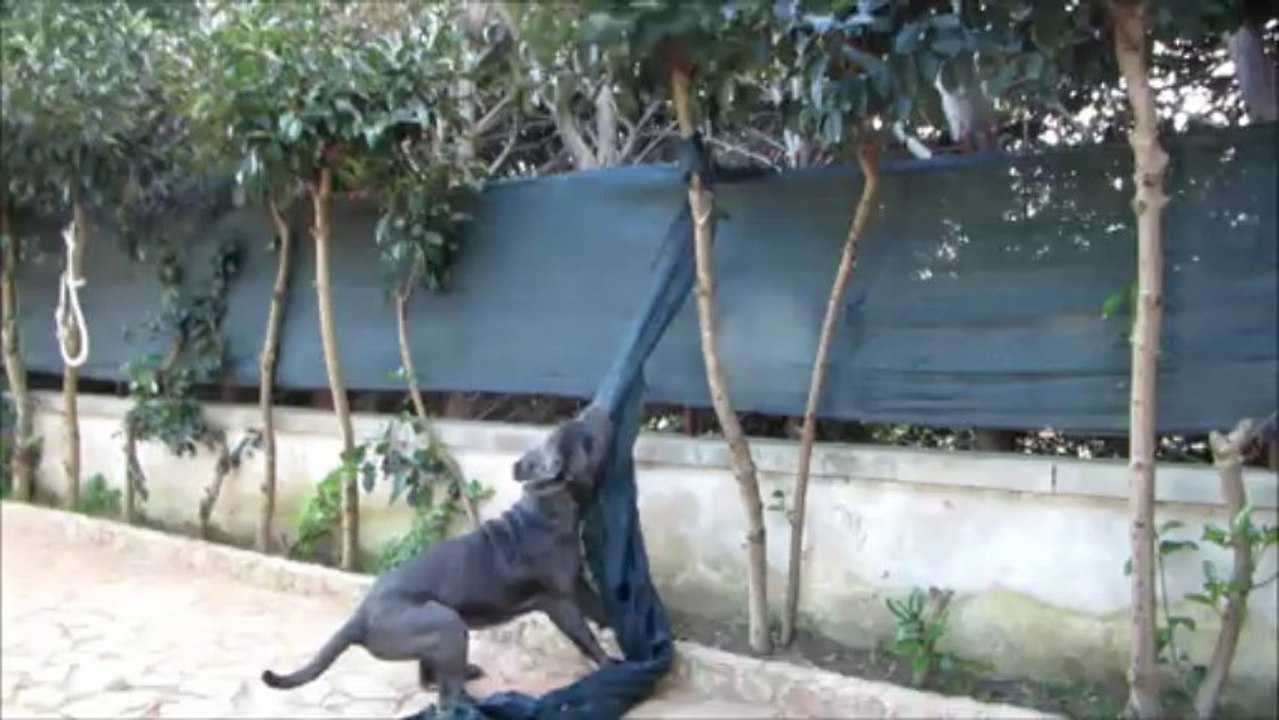 ATHENA TAGLIO E CUCITO