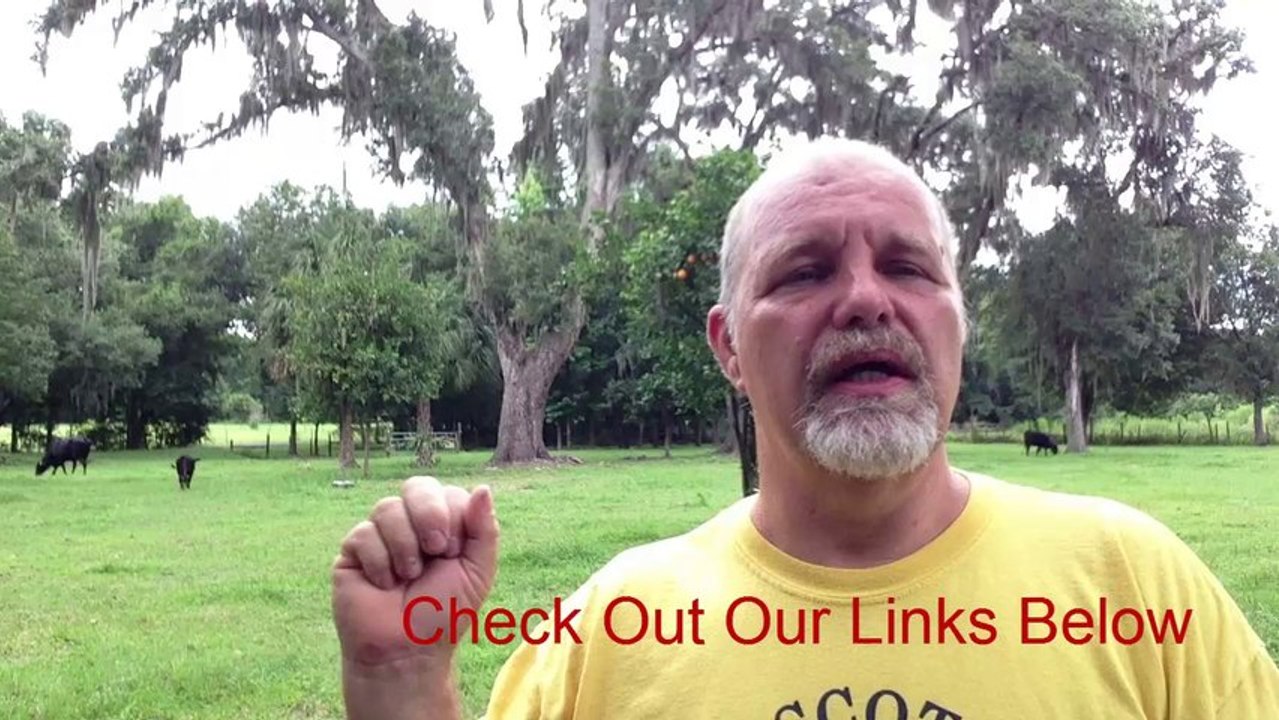Landing Page Tip - Make Sure You're Doing This Step If You're New to Online Marketing