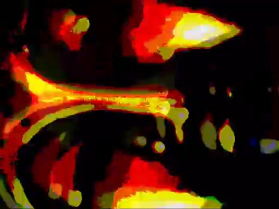 Camille Saint-Saens...Aquarium (Saint-Saens)