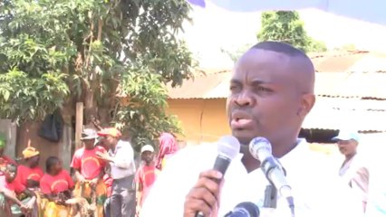 Mot Leonidas Mottom BCH