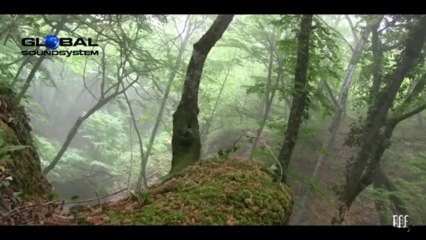 Mike Foyle - Pandora (Original Mix)