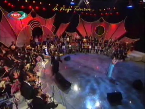 Ayşe TAŞ-Şimdi Uzaklardasın Gönül Hicranla Doldu