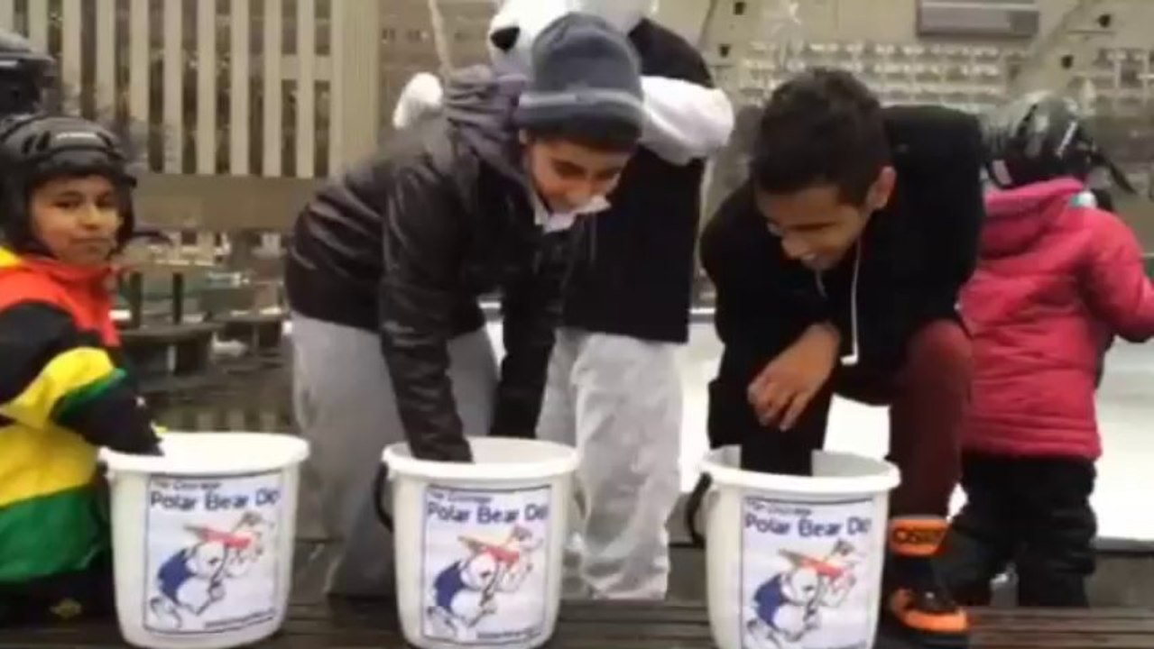 Countdown to 2014 Courage Polar Bear Dip in Oakville