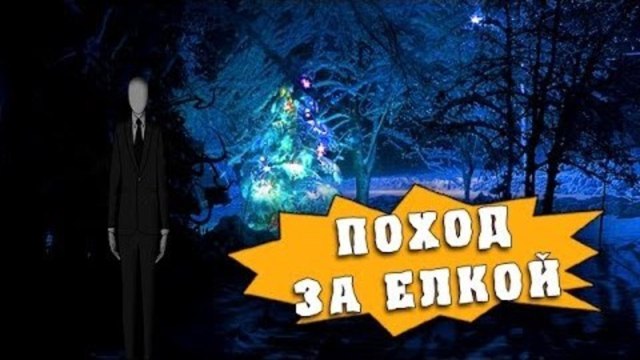 Как HFM за елкой ходили