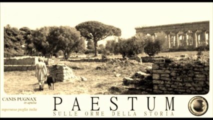 paestum 2012