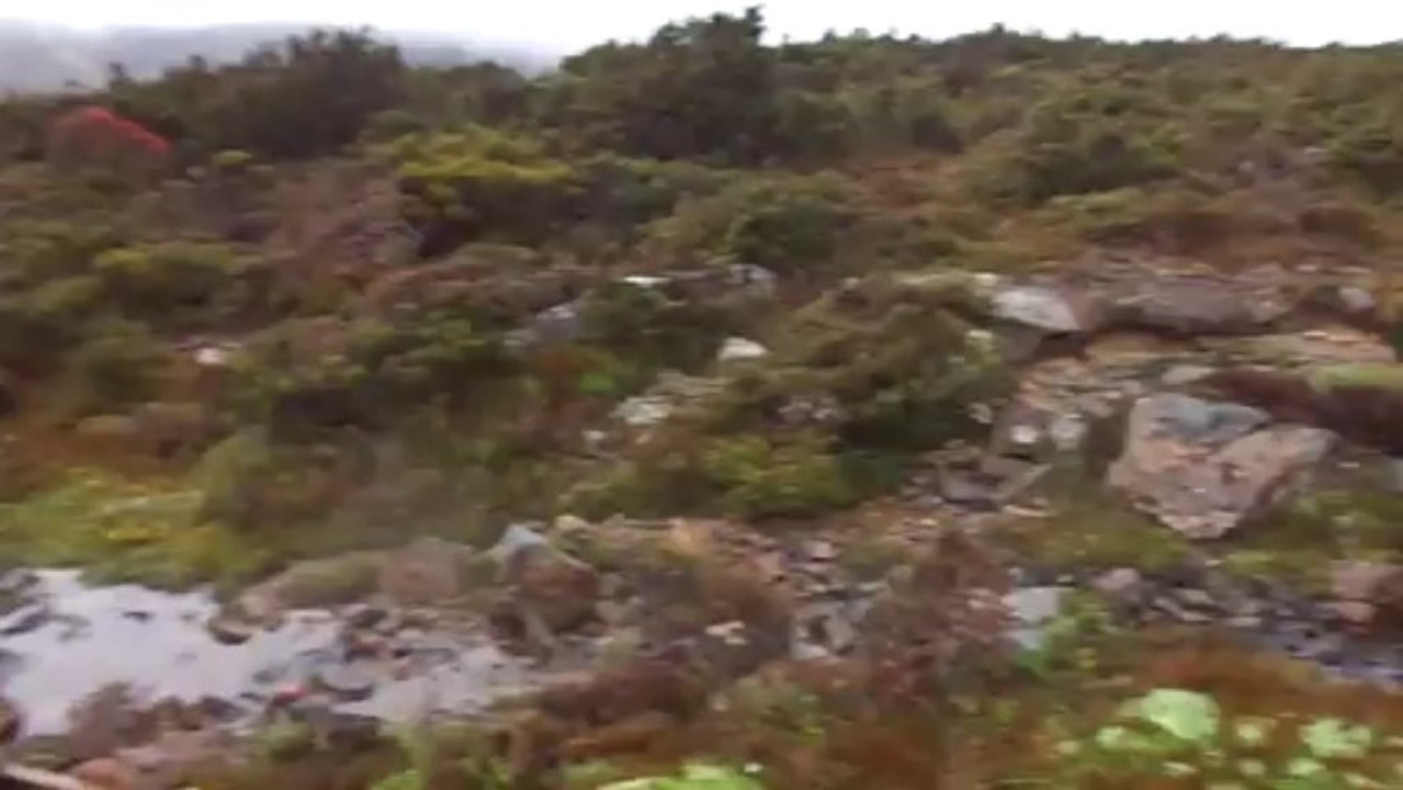 jour 1 apres deux heures de side trip personnalise