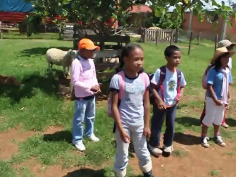 La laine des moutons