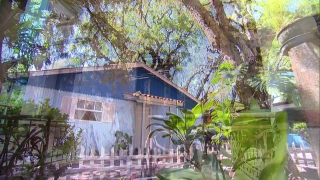 Globo Repórter: Transformadores - Sexta-Feira - 20/12/2013 - Part.3 [720p]