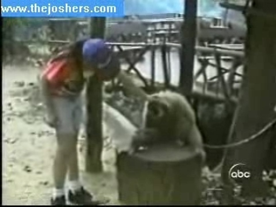 monkey head scratch