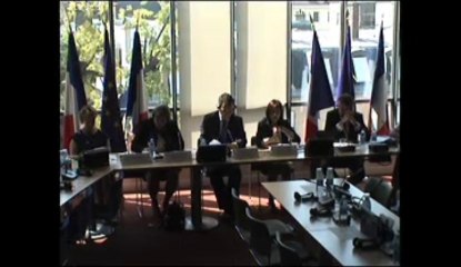 Audition de M. Petras Auštrevičius , vice-pdt du parlement lituanien et président de la commission des affaires européennes - Mercredi 10 Juillet 2013