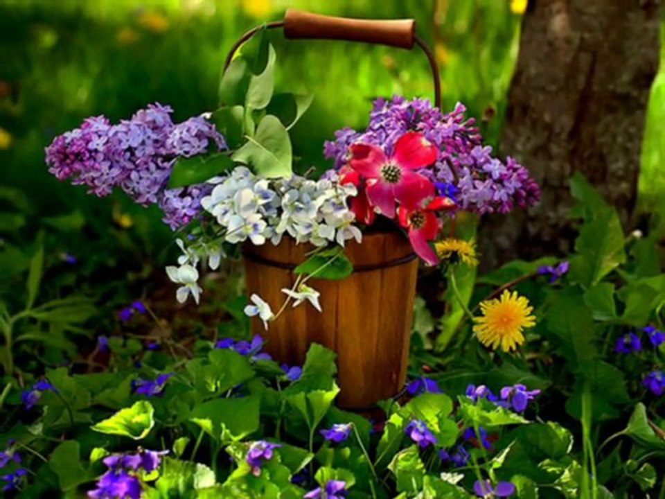 Deuter - Colours of our lifes