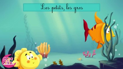 Les petits poissons dans l'eau.mp4
