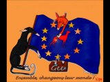 commission-europepenne-16septembre2013-petition-animaux-errants-bien-etre-chiens-chats-europe-video5