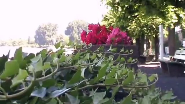 Auf großer Tour durch den VRS 2013-8 – Unkel