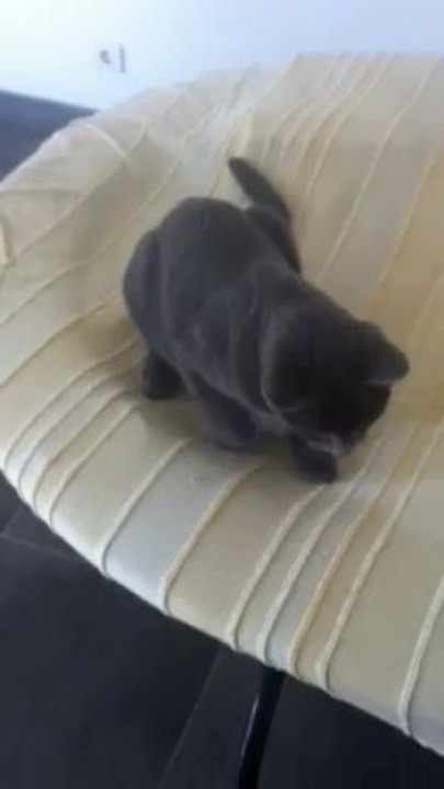 Guest des Rives d'estaing