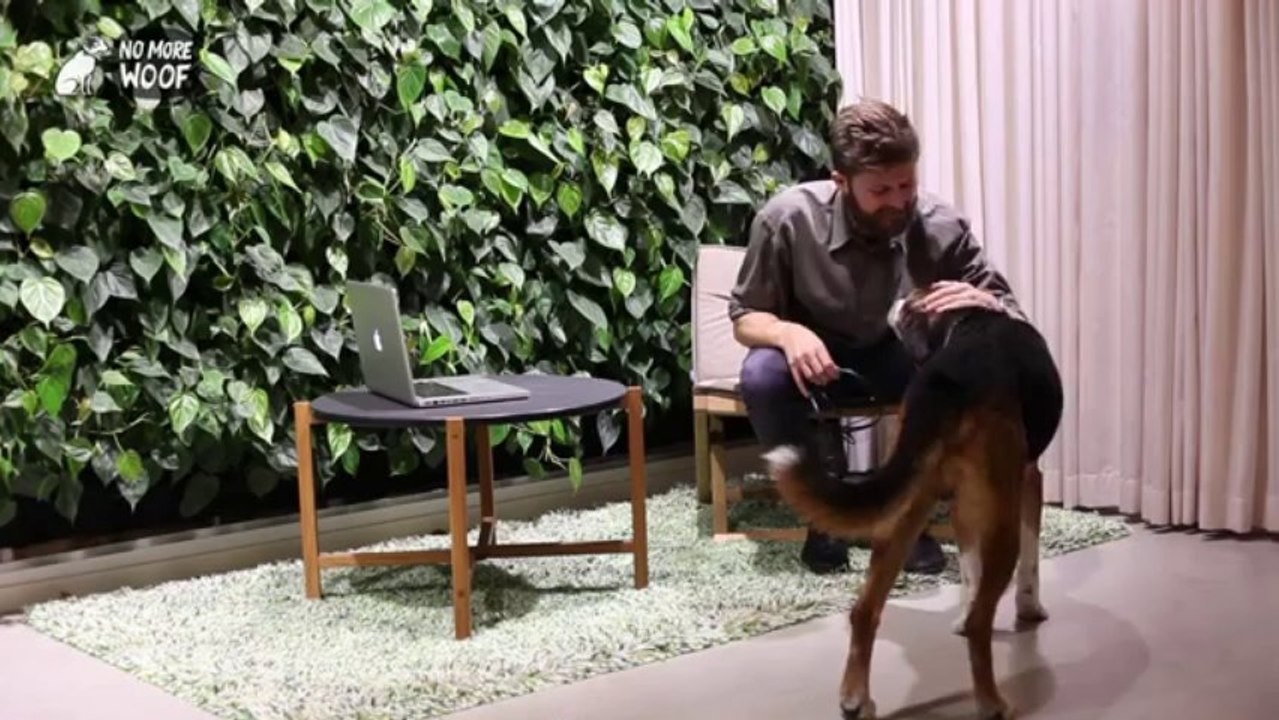 No More Woof by The Nordic Society for Invention and Discove