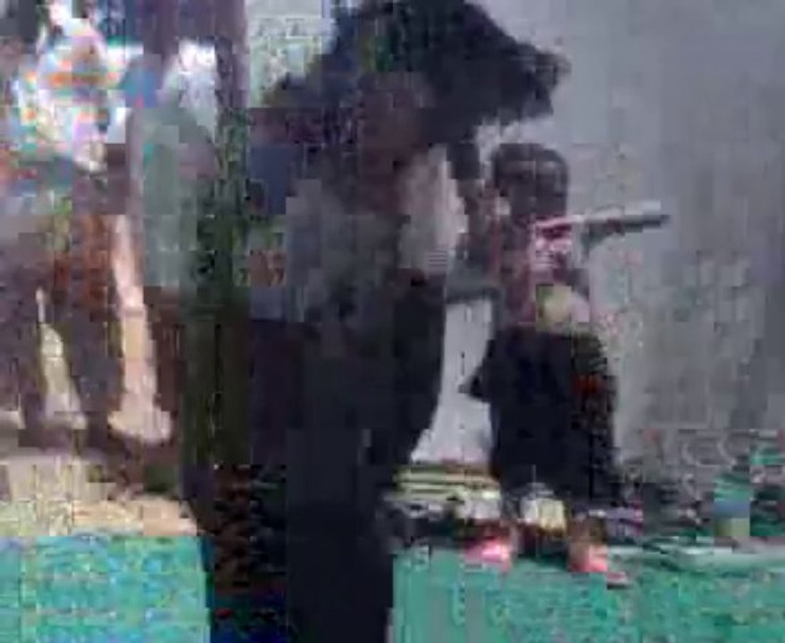 Video03  Picnic Party